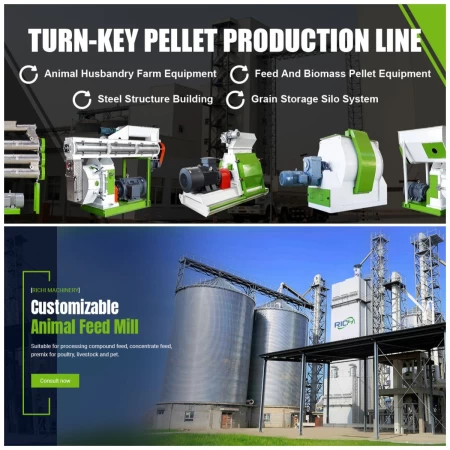 Exactly how to develop a pet feed production line with an outcome of 5t/h?